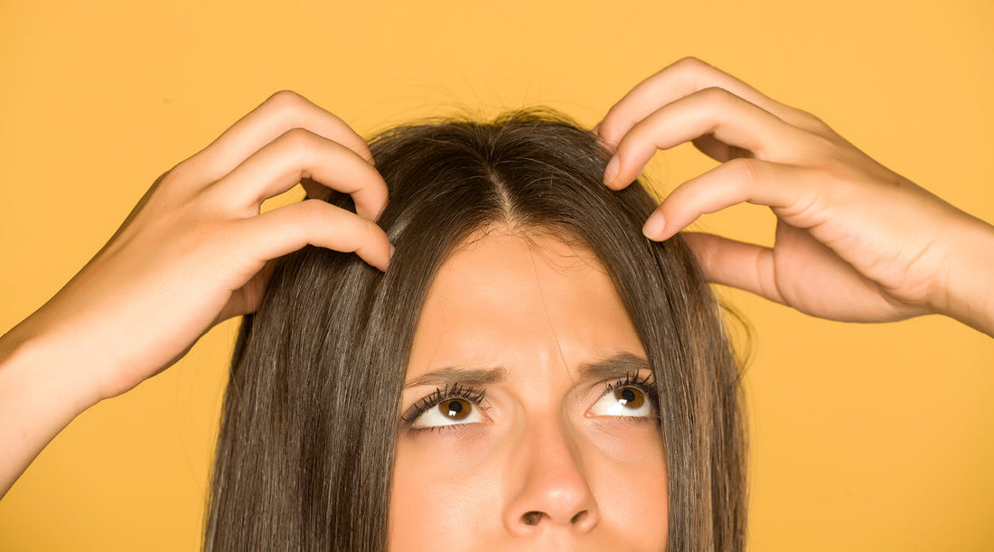 Best Shampoo Bars For Dandruff