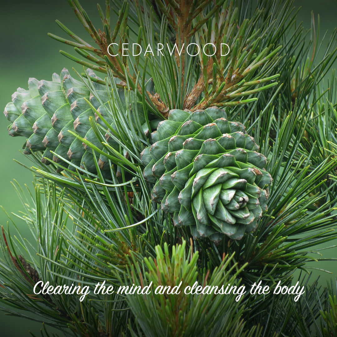 Naked & Natural - Cedarwood Soap