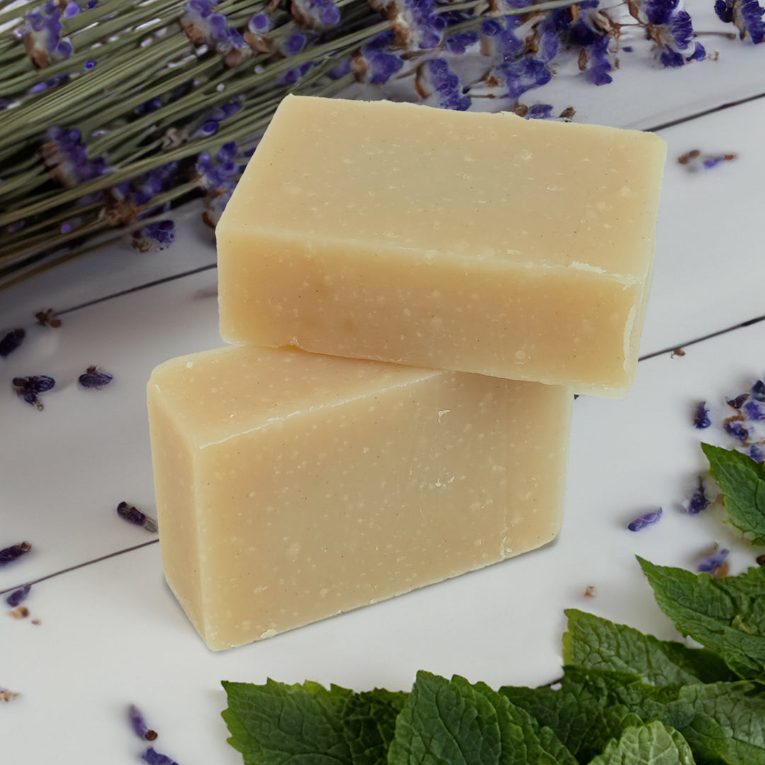 friendly travel soap two bars