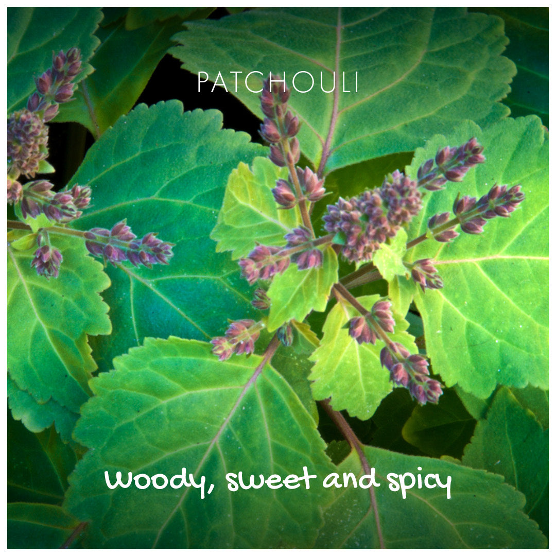 Soapy Scraps - Natural Soap - Patchouli & Sandalwood