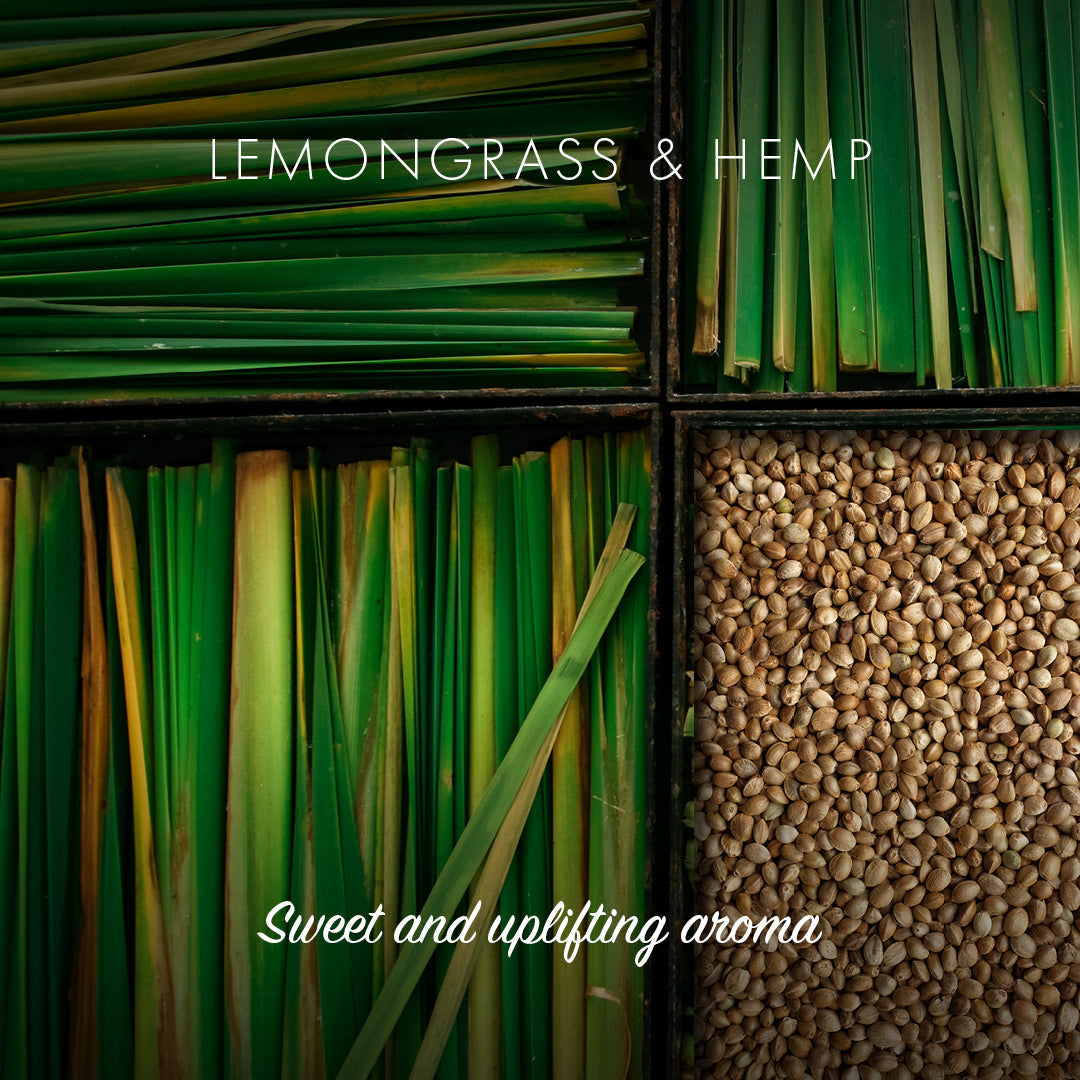 Friendly Soap - Lemongrass Natural Soap - Sweet and uplifting aroma
