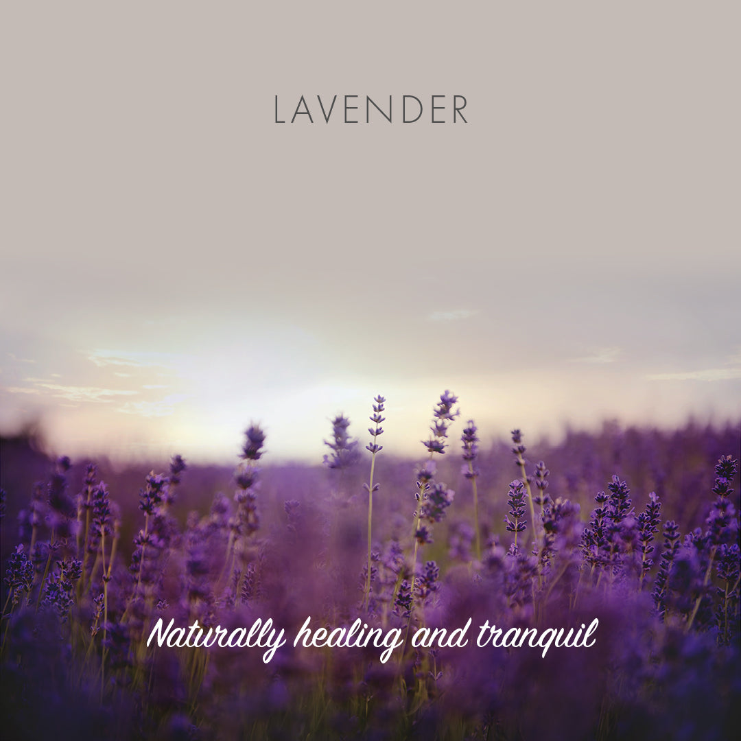 Friendly Soap - Lavender Natural Soap - Naturally healing and tranquil