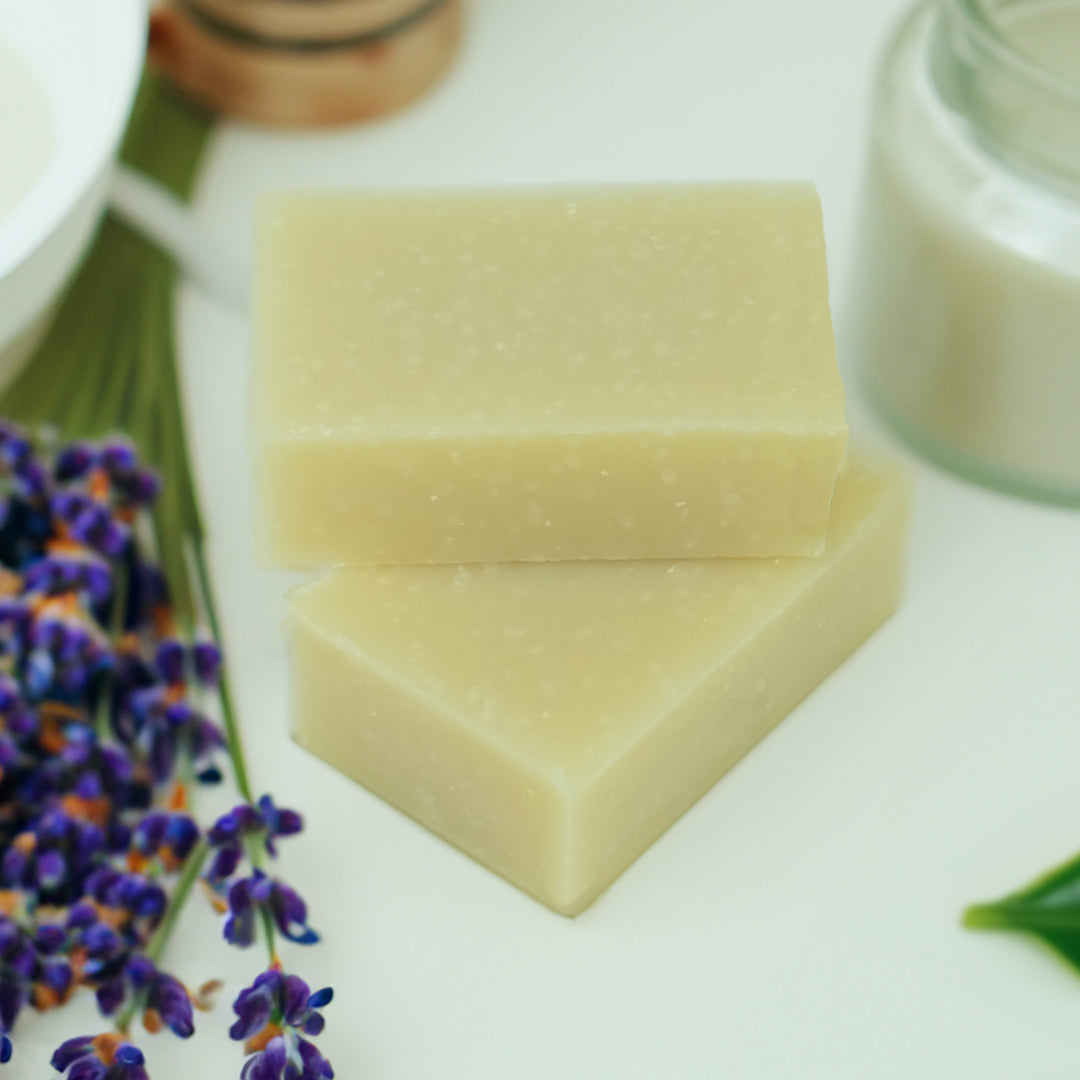 friendly shampoo two bars - lavender and tea tree