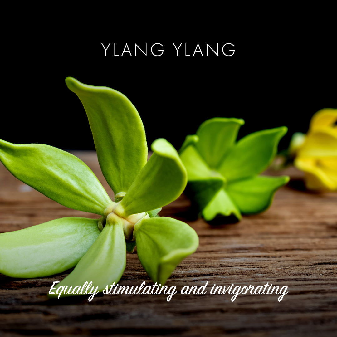 Friendly Soap - Ylang Ylang - Natural Soap 