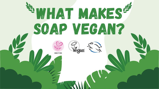 A graphic containing foliage and the words What Makes Soap Vegan? 