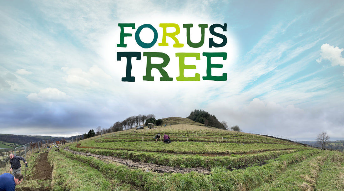 friendly soap with charity partners, forus tree