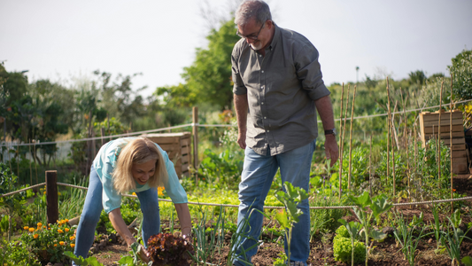 Zero Waste Gardening: Turning Trash into Treasure