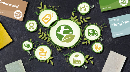bcorp blog banner