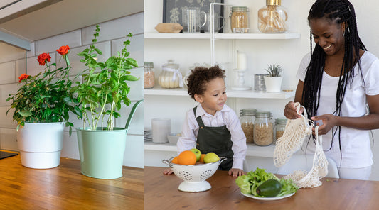 How To Design An Eco-Friendly Kitchen