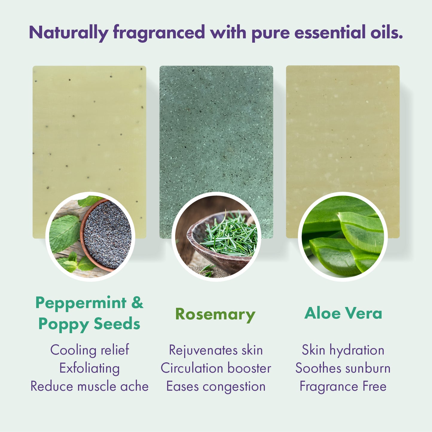 Three rectangular natural soap bars are shown on a pale green background with text labels and ingredient circles. The left soap is labeled Peppermint & Poppy Seeds, the center soap Rosemary, and the right Aloe Vera.