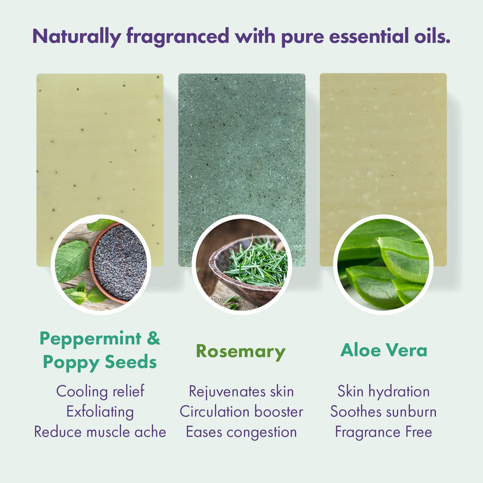 Three rectangular natural soap bars are shown on a pale green background with text labels and ingredient circles. The left soap is labeled Peppermint & Poppy Seeds, the center soap Rosemary, and the right Aloe Vera.