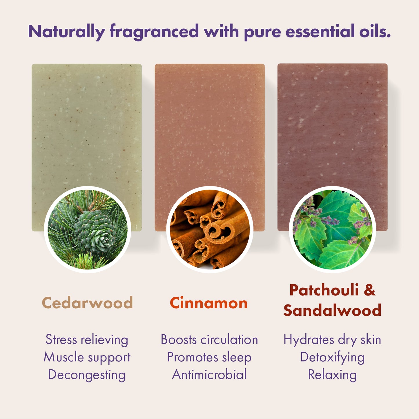Three rectangular soap bars are shown on a light beige background with text and ingredient circles. The left bar is labeled Cedarwood and is a muted sage green; the center bar is labeled Cinnamon and is a warm cinnamon brown; the right bar is labeled Patchouli & Sandalwood and is a dusty mauve-brown.
