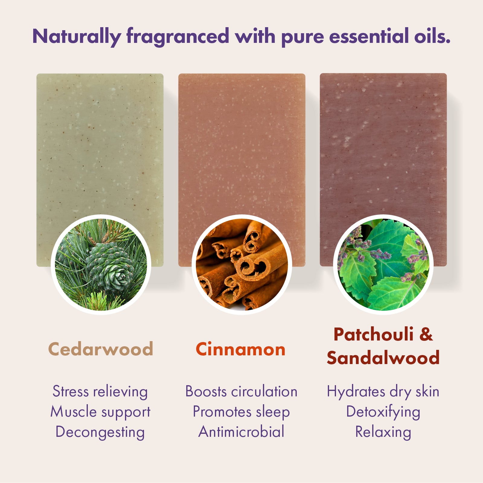 Three rectangular soap bars are shown on a light beige background with text and ingredient circles. The left bar is labeled Cedarwood and is a muted sage green; the center bar is labeled Cinnamon and is a warm cinnamon brown; the right bar is labeled Patchouli & Sandalwood and is a dusty mauve-brown.