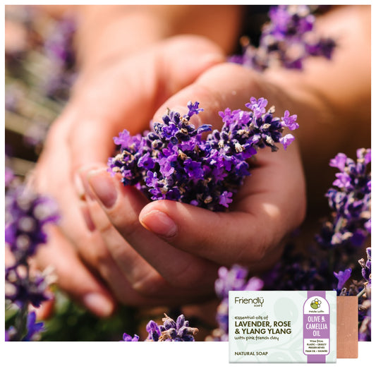 A close-up of a person's hands holding a small cluster of purple lavender flowers outdoors, with a small soap bar package labeled 'Friendly Soaps Lavender, Rose & Yang Yang Soap' shown in the lower right corner.