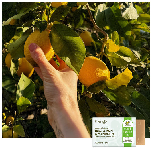 A hand reaches for a bright yellow lemon hanging on a tree with green leaves. In the lower right corner, a bar of Friendly Soap 'Lime, Lemon & Mandarin' natural soap is shown with its packaging label.