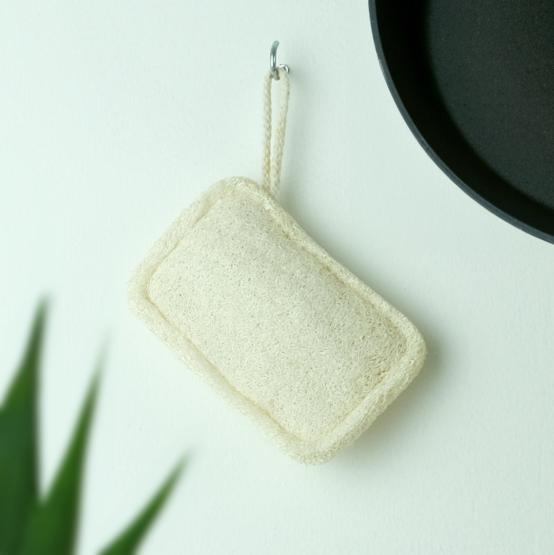 kitchen loofah pan scrub hanging in kitchen with houseplant and frying pan