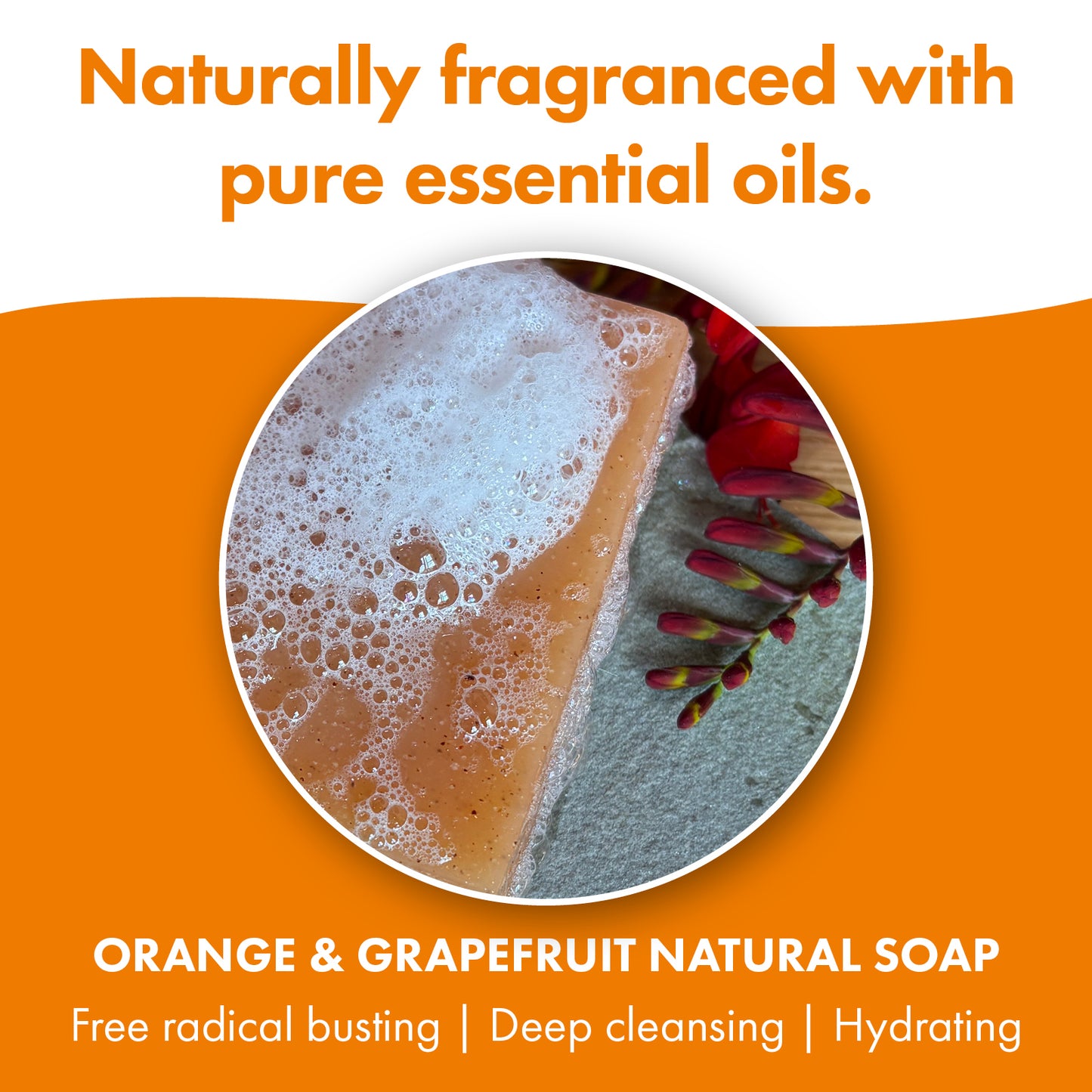 3 Pack - Orange & Grapefruit