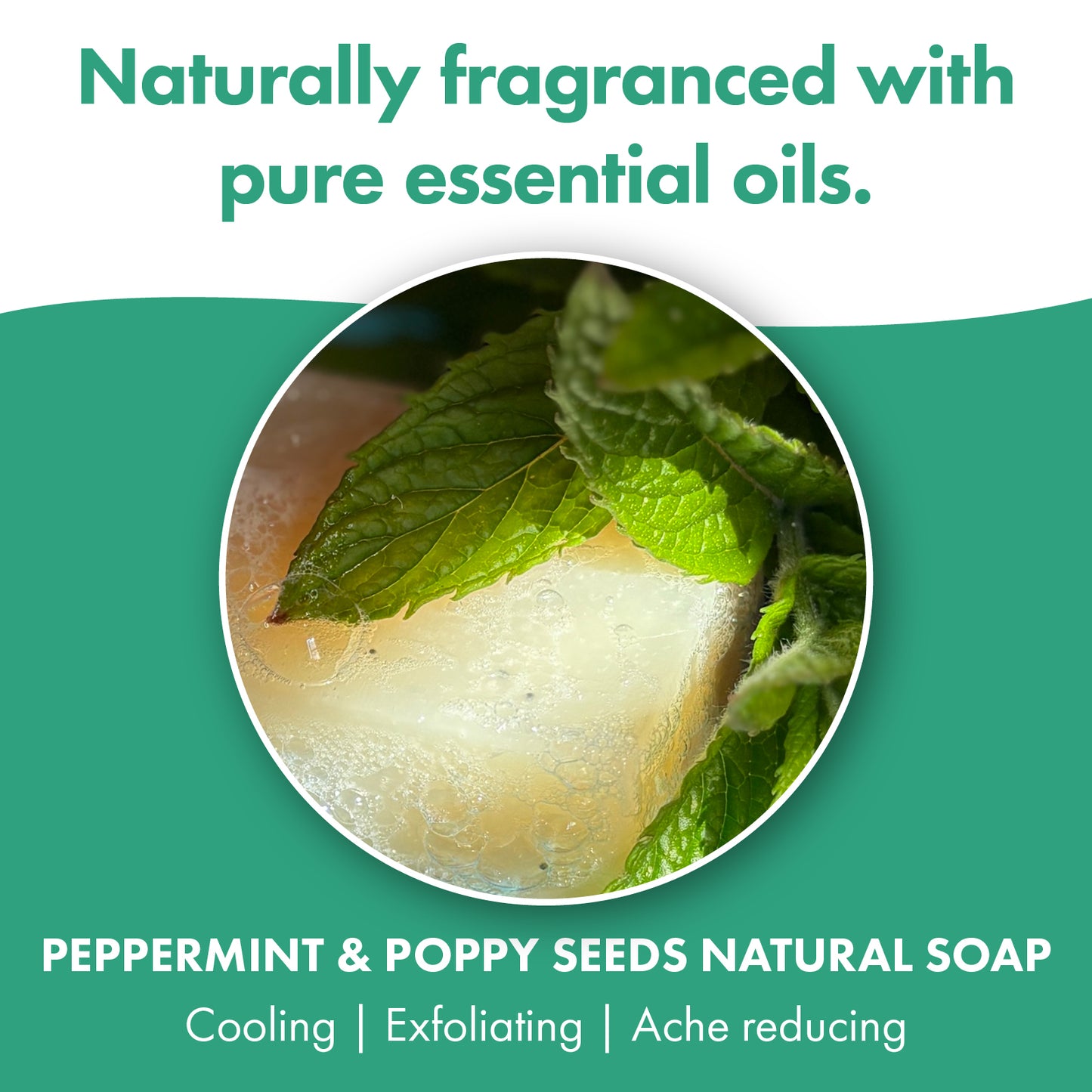 3 Pack - Peppermint & Poppy Seeds
