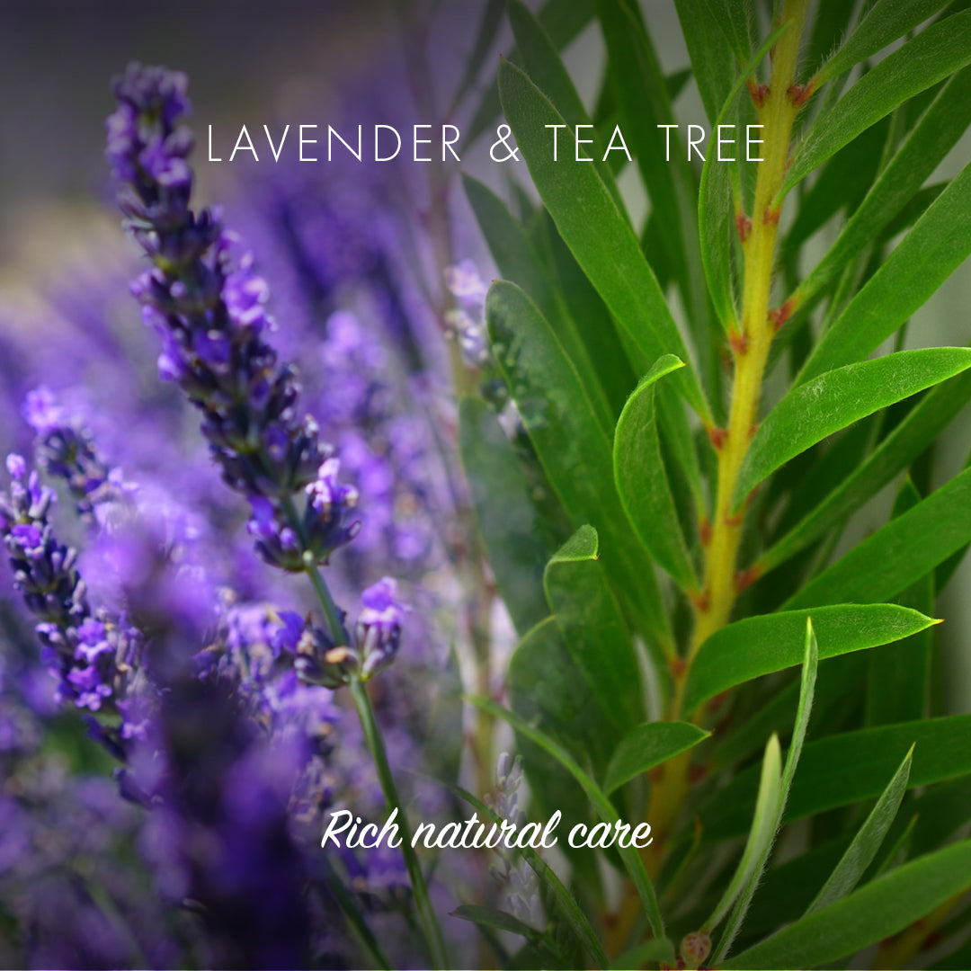 lavender & tea tree - rich natural care