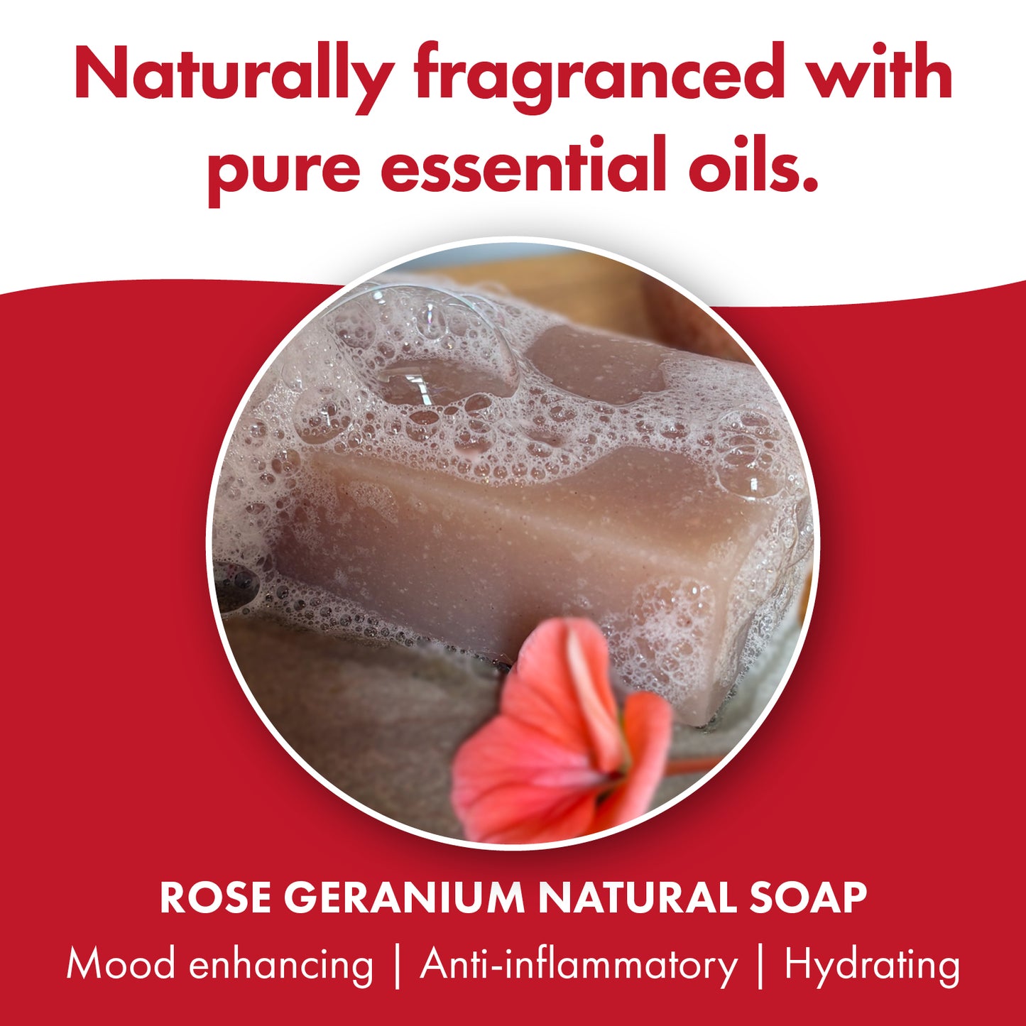 3 Pack - Rose Geranium Natural Soap