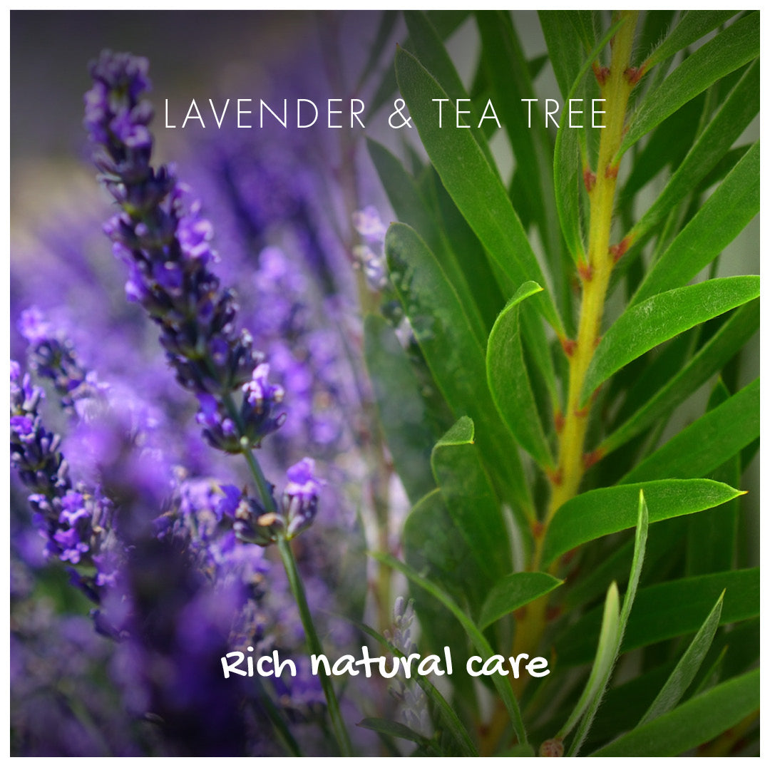 Shampoo Bar - Lavender & Tea Tree
