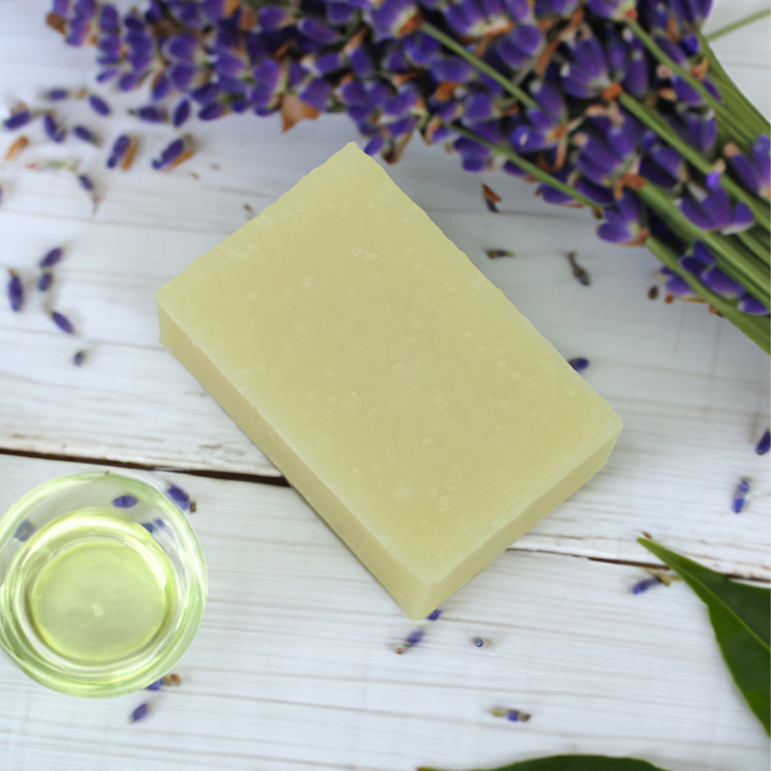 friendly shampoo single bar -  lavender and tea tree