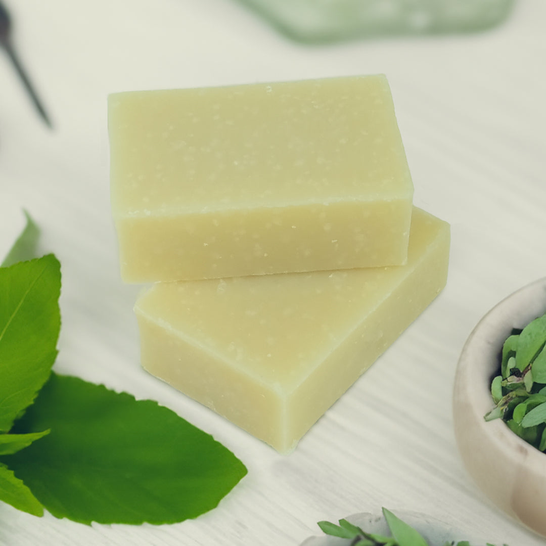 friendly shampoo two bars -  peppermint and eucalyptus