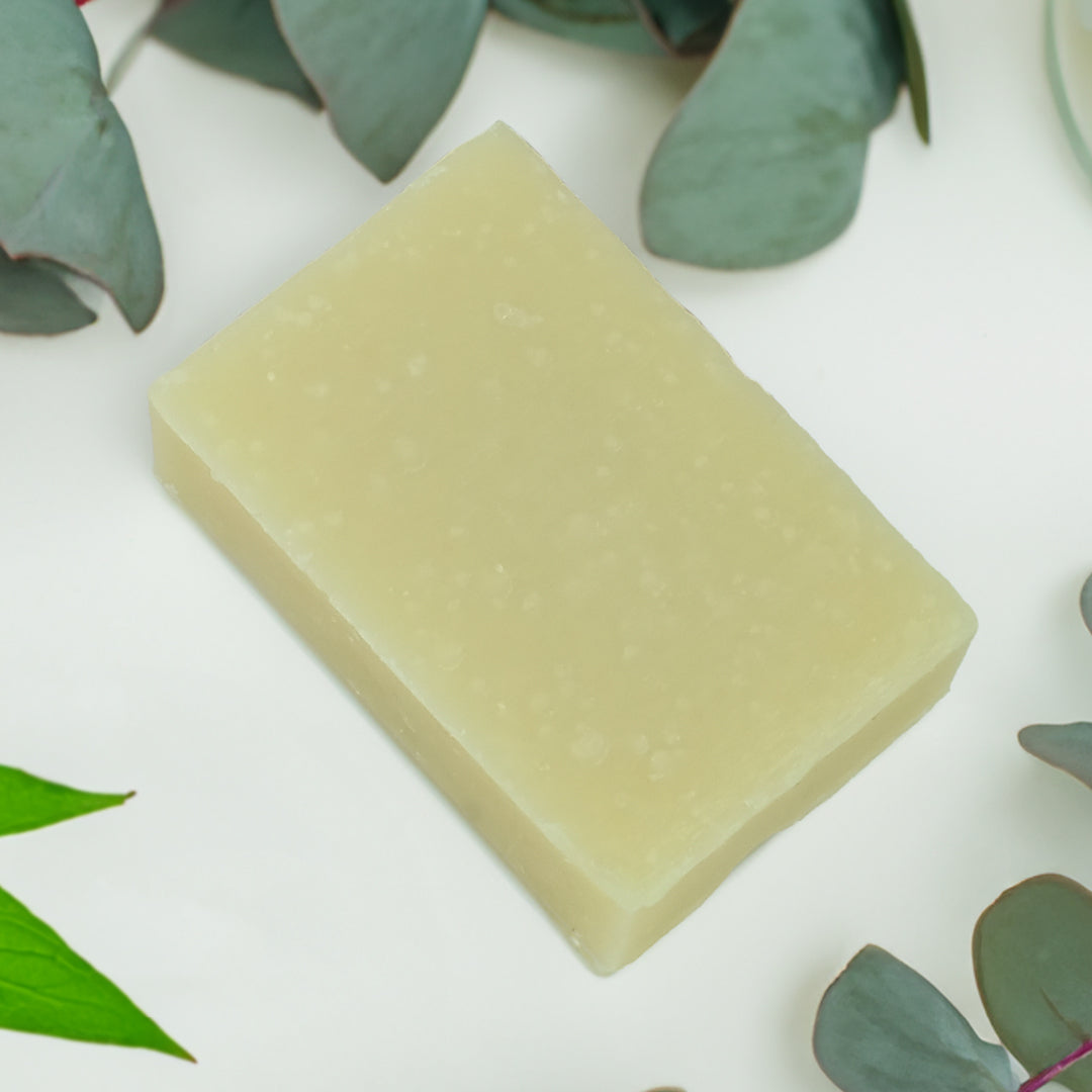 friendly shampoo single bar -  peppermint and eucalyptus