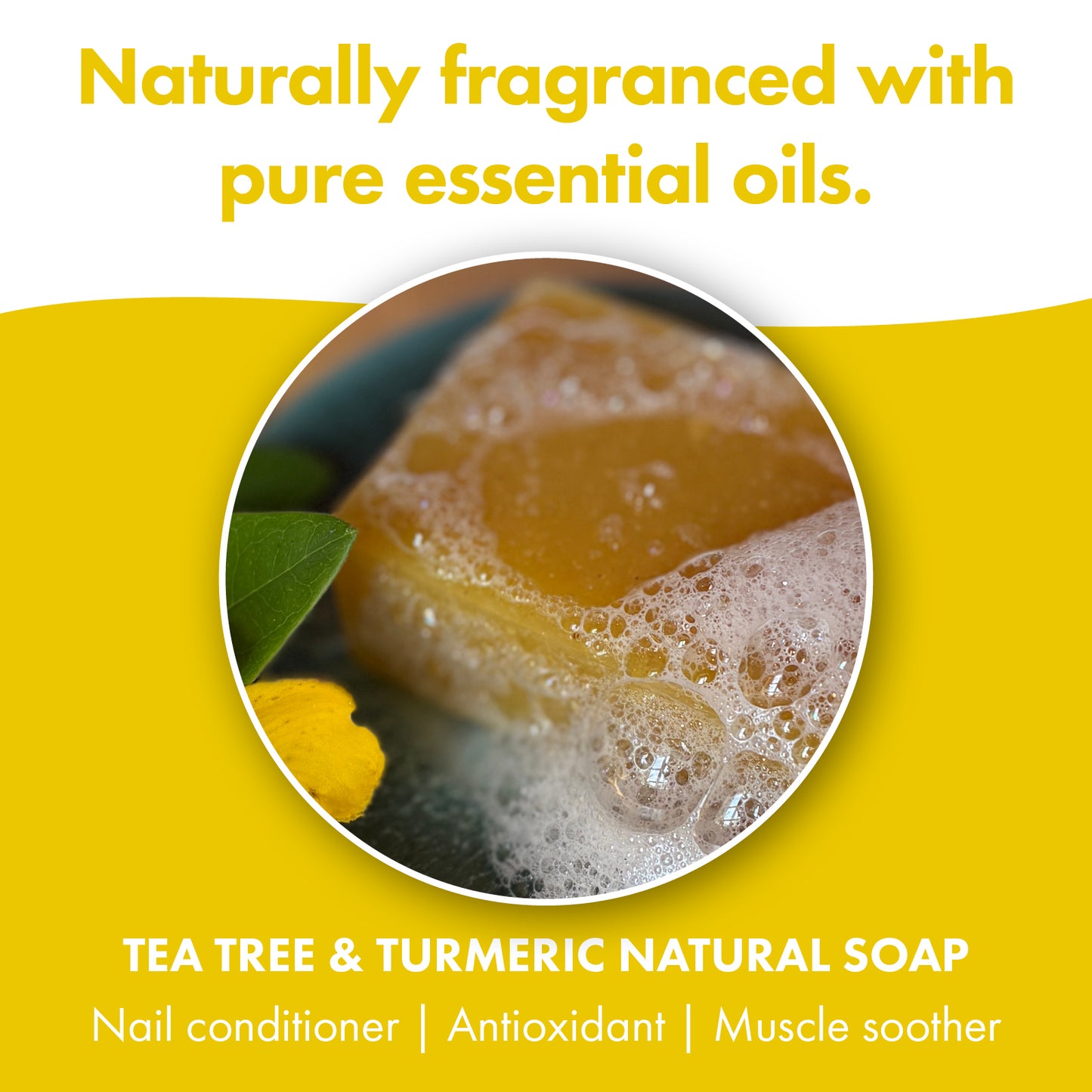 3 Pack - Tea Tree & Turmeric