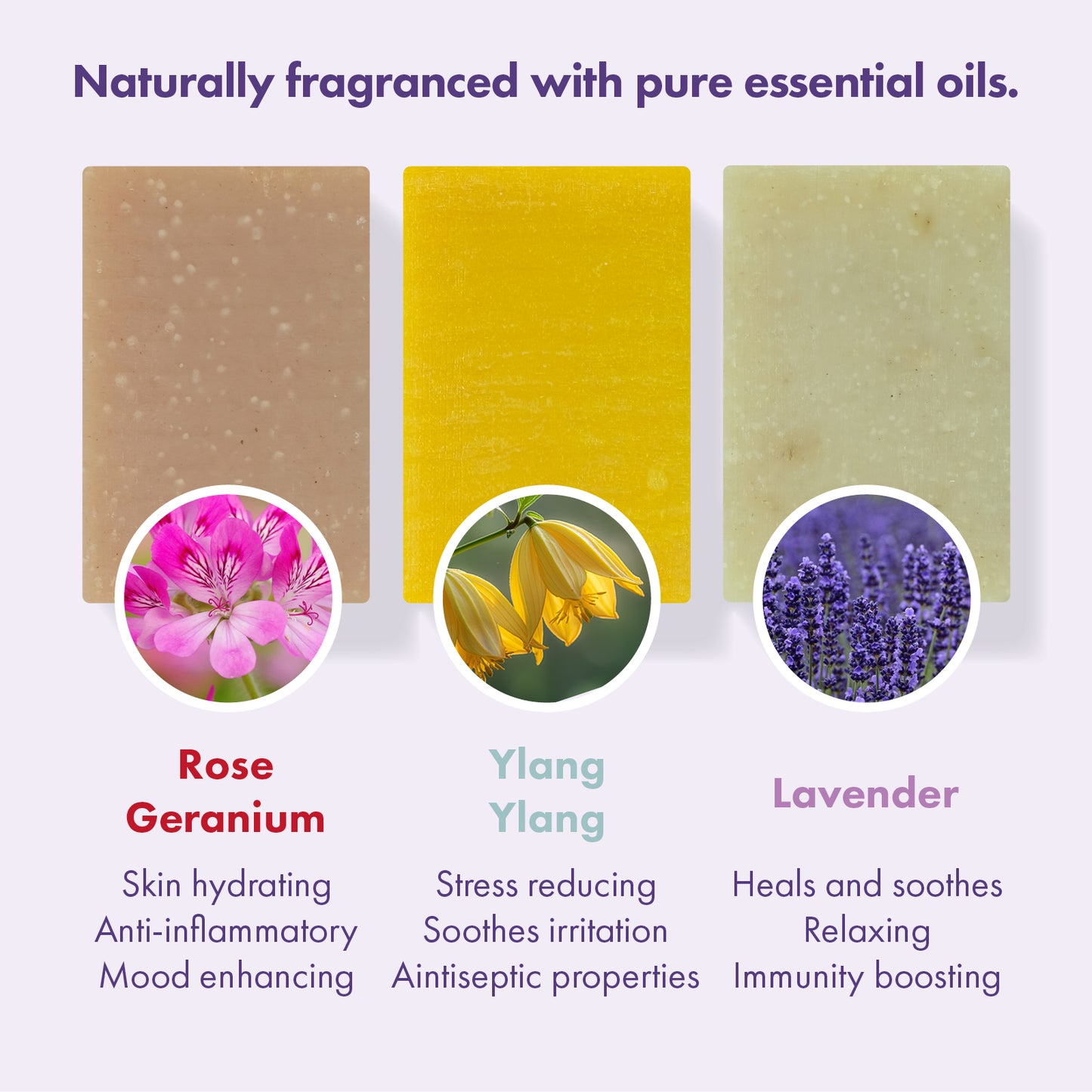 Three rectangular soap bars are shown on a light lavender background with text describing their scent and benefits. The left bar is beige with pink rose geranium flower imagery and text.