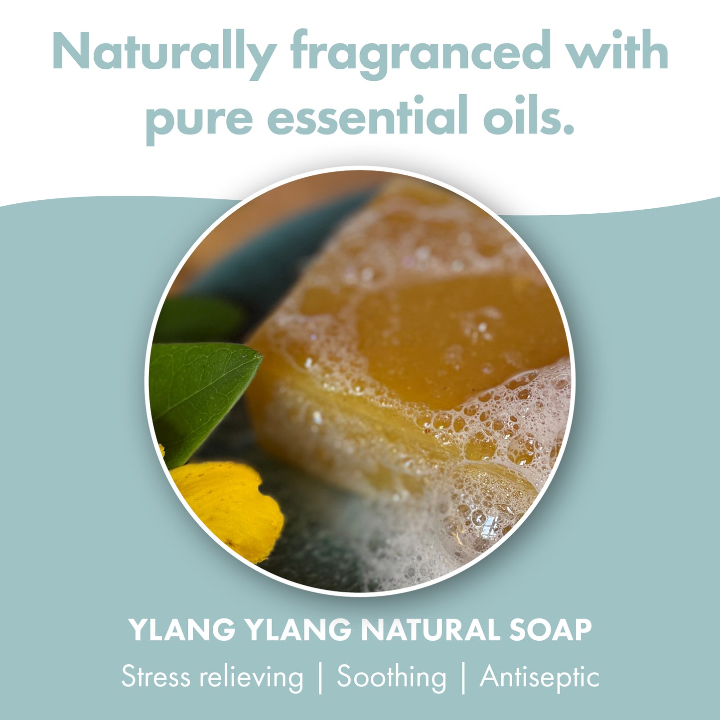3 Pack - Ylang Ylang Natural Soap