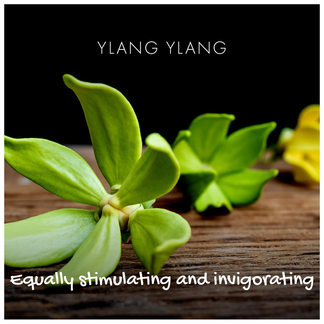 Can You Use Bar Soap On Your Hair? Friendly Soap