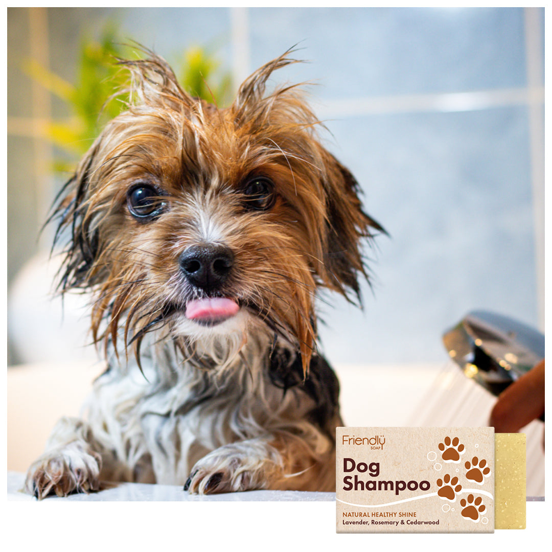 Dog Shampoo Friendly Soap